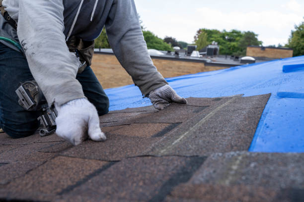 Best Roof Repair Services  in Forest Glen, MD