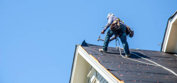 Best Storm Damage Roof Repair  in Forest Glen, MD